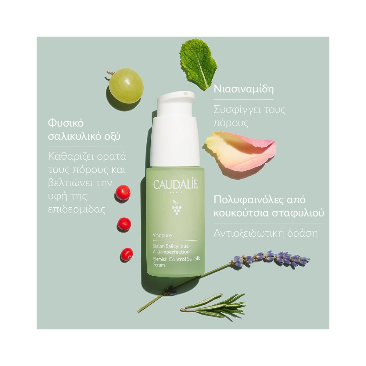 Caudalie Vinopure Blemish Control Salicylic Acid Serum