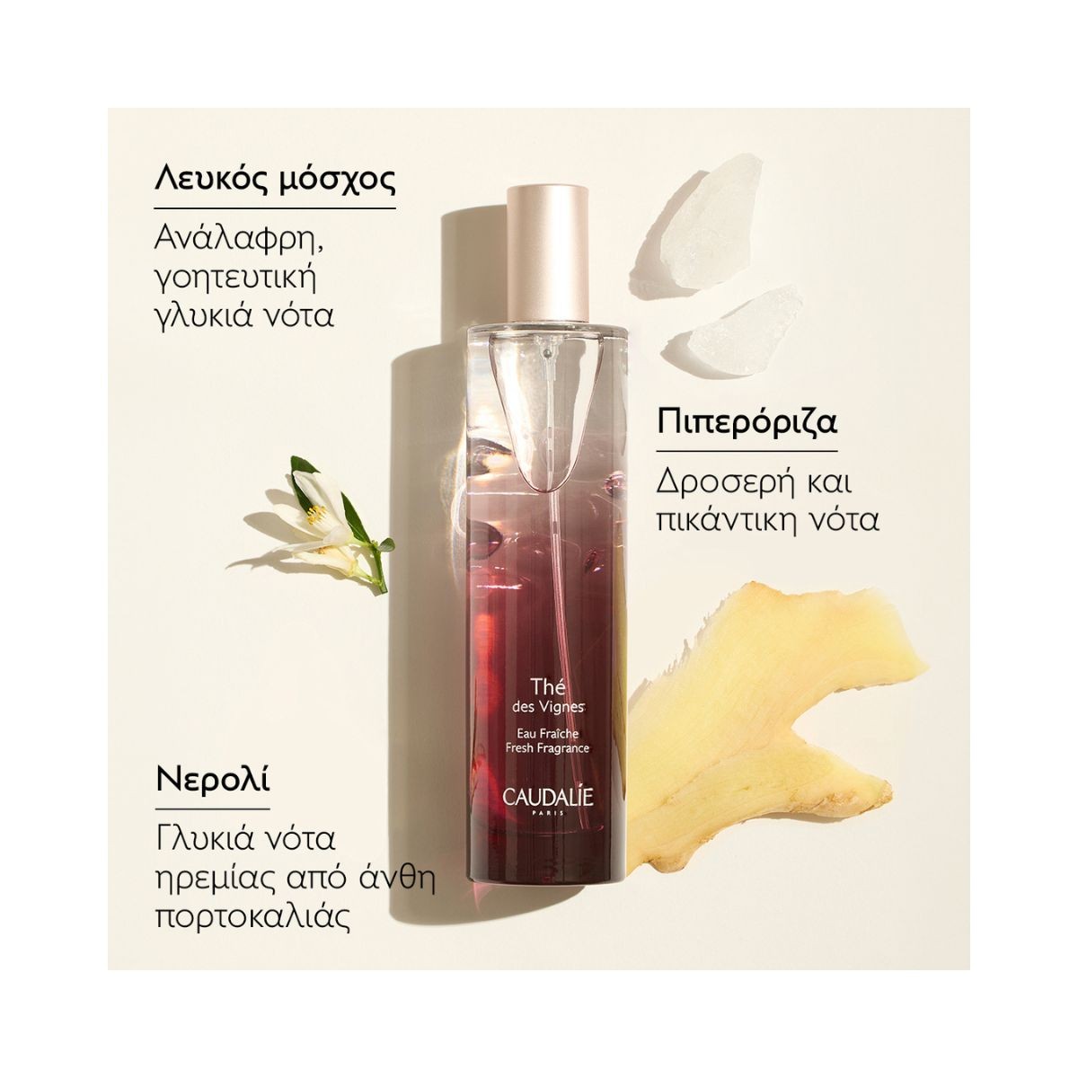 Caudalie Thé des Vignes Fresh Fragrance 50ml