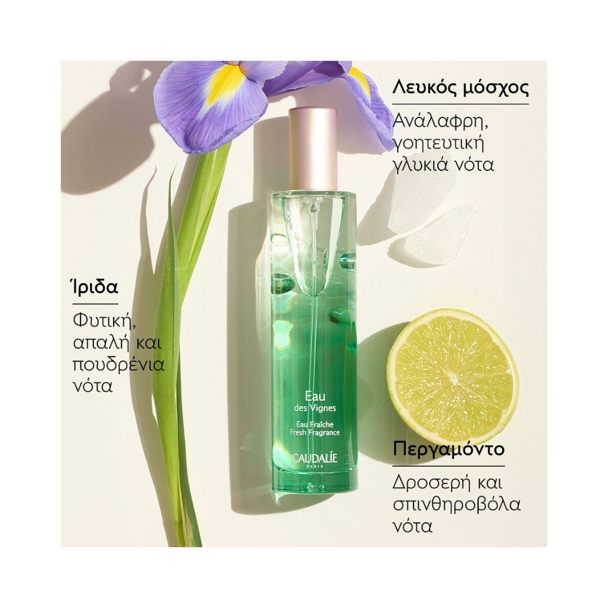 Caudalie Eau des Vigne Fresh Fragrance 50ml