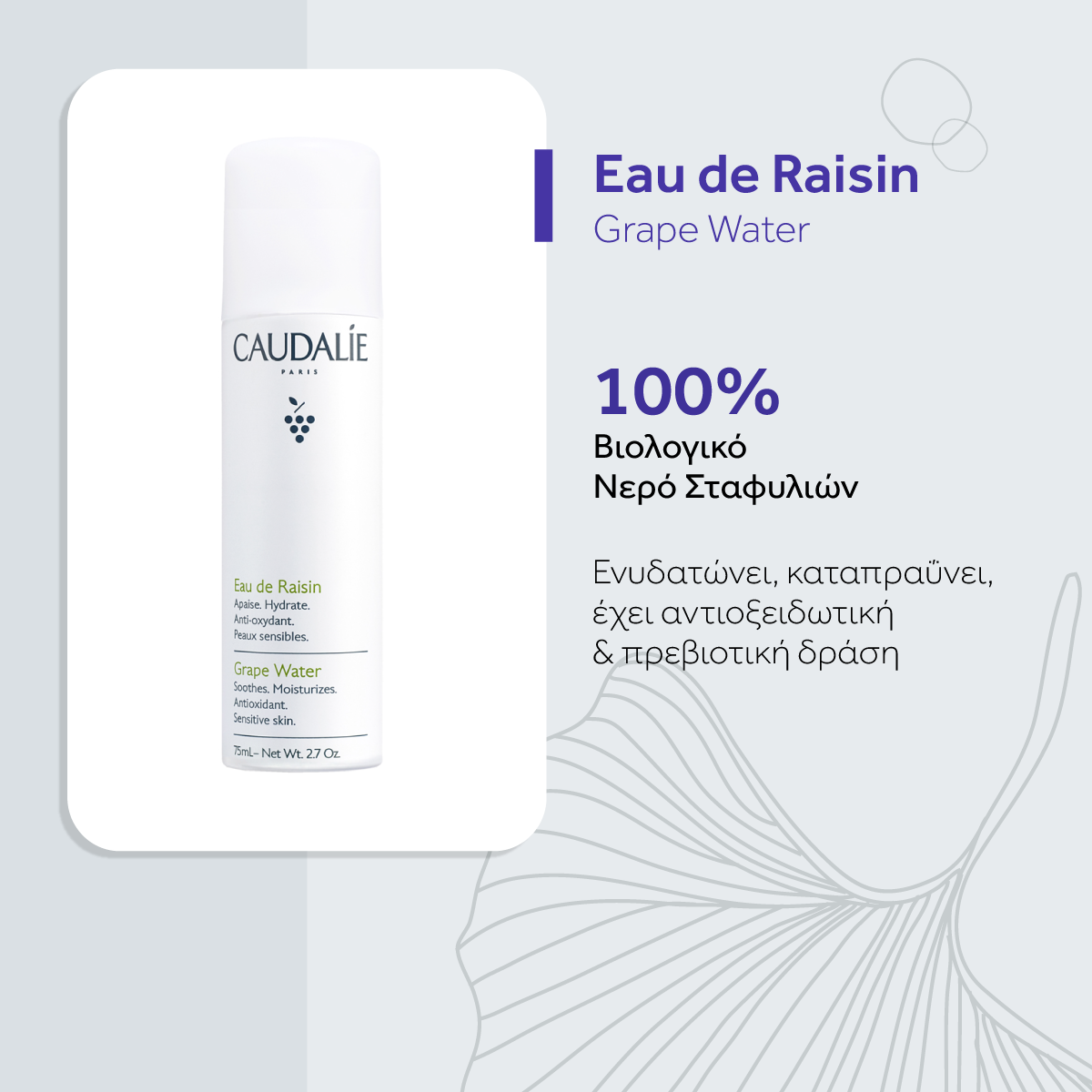 Oλοκληρωμένο Σετ Caudalie: Πρωινή Αναδόμηση και Σύσφιξη