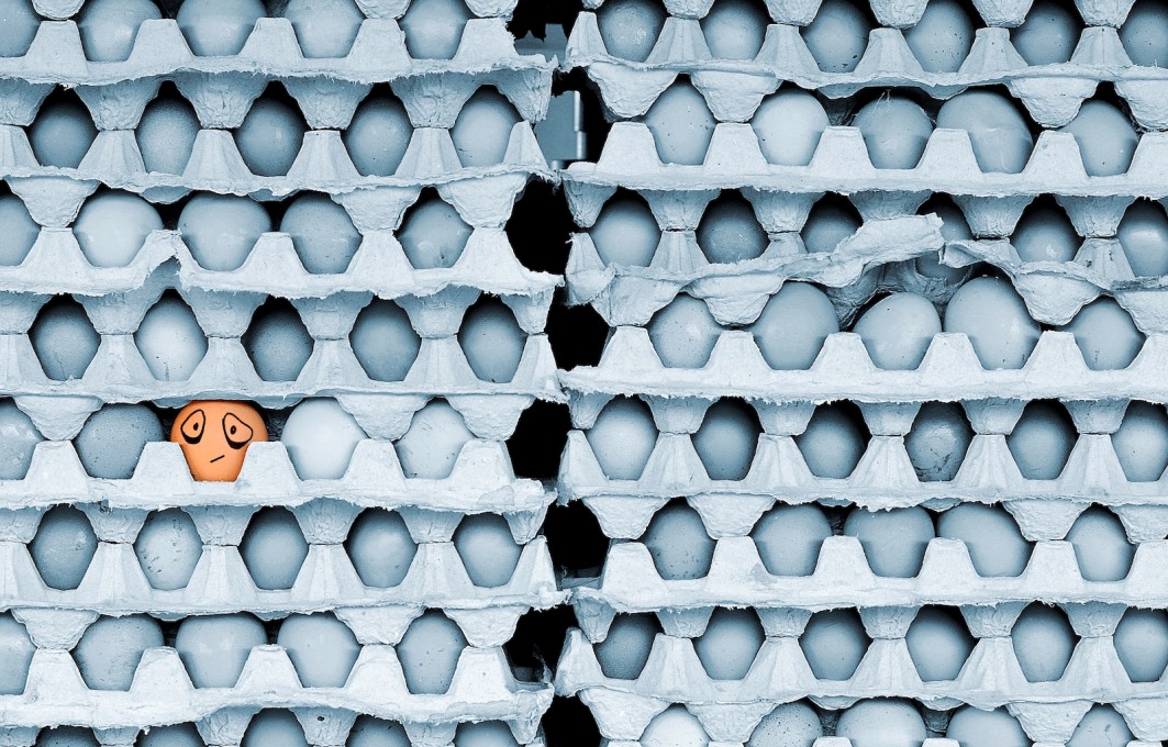 Pandemic, Mental Health & Psychological Resilience